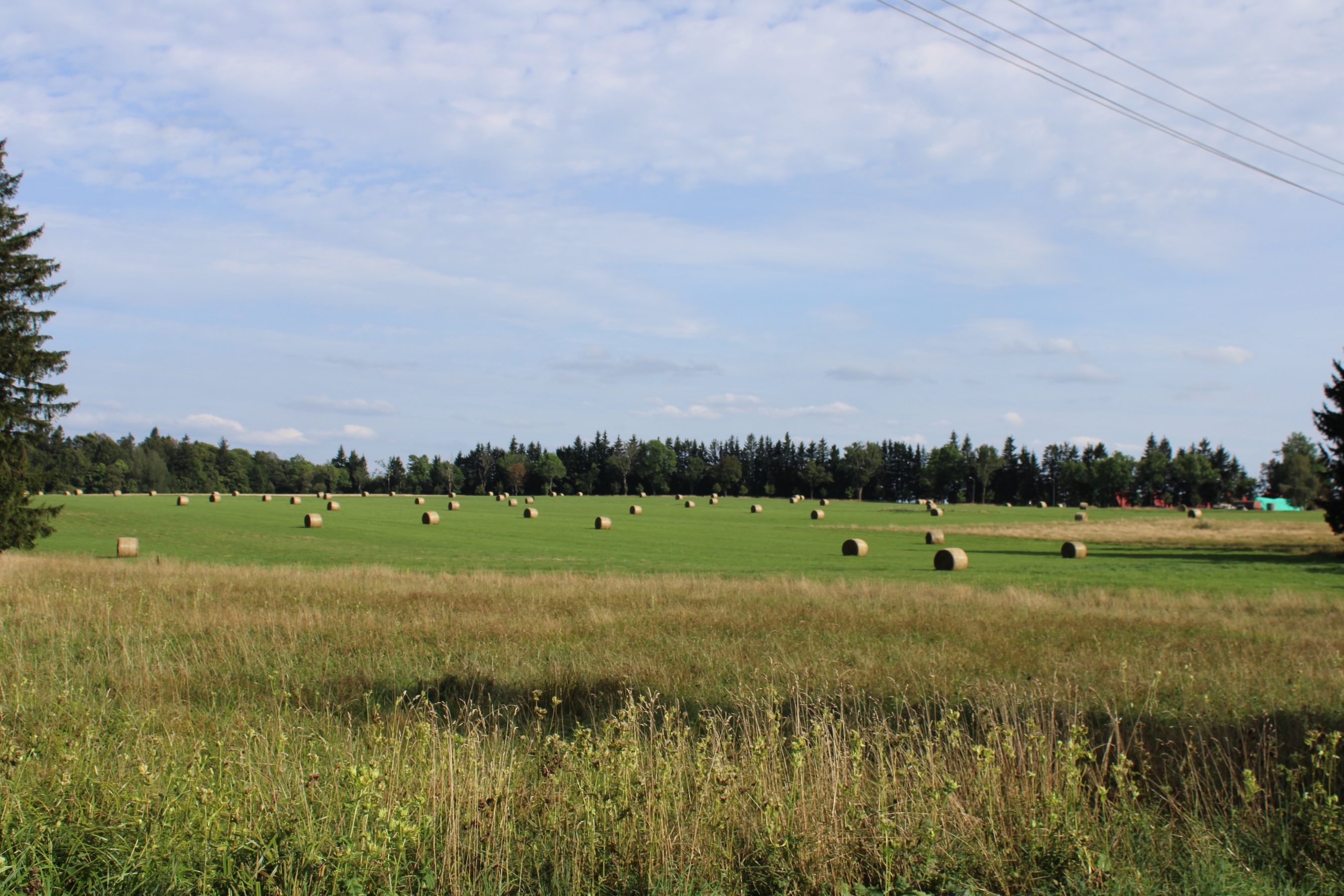 Haybales in the field back at the base of the mountain